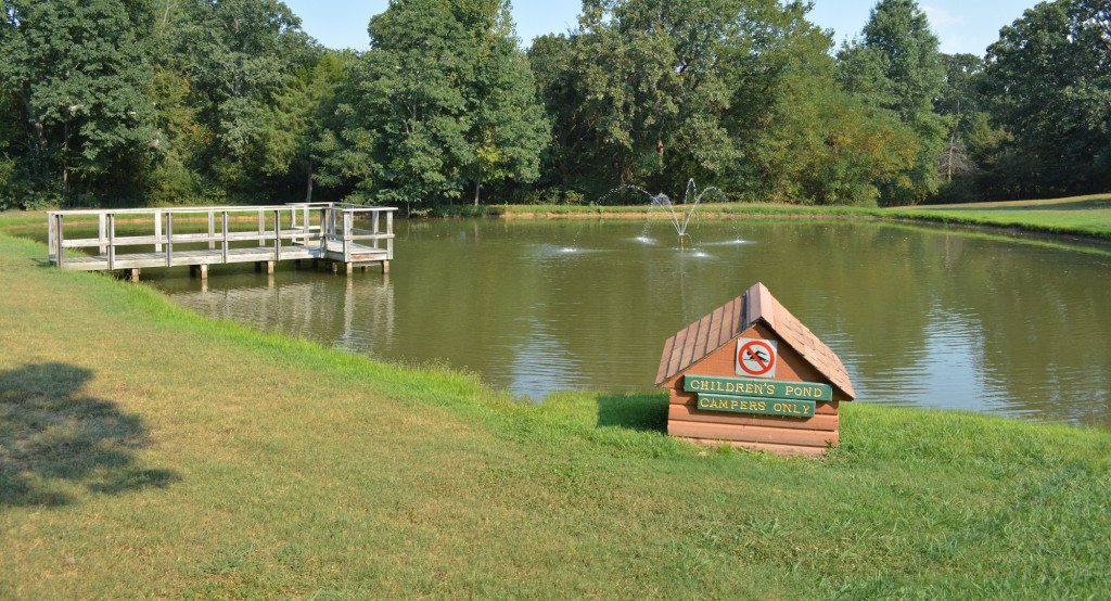 Kids fishing pond - Picture of Marval Resort, Gore - Tripadvisor